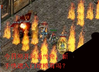 ���ոտ���ͨ���棬���ֿ������Ź�������