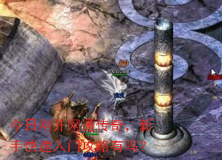 ���ոտ���ͨ���棬���ֿ������Ź�������