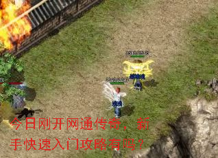 ���ոտ���ͨ���棬���ֿ������Ź�������