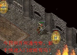 ���ոտ���ͨ���棬���ֿ������Ź�������