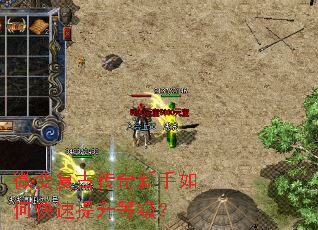 ΢�临�Ŵ���������ο��������ȼ���