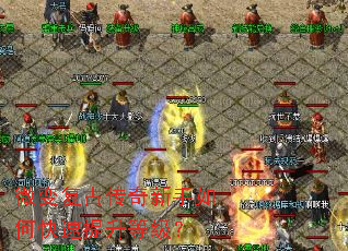 ΢�临�Ŵ���������ο��������ȼ���