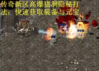 传奇新区高爆猪洞隐秘打法：快速获取装备与元宝