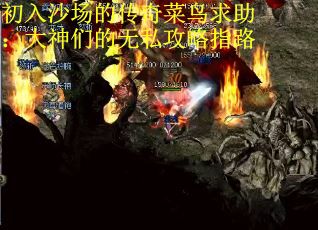 初入沙场的传奇菜鸟求助：大神们的无私攻略指路