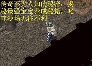 传奇不为人知的秘密：揭秘最强宝宝养成秘籍，叱咤沙场无往不利