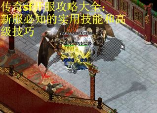 传奇sf开服攻略大全：新服必知的实用技能和高级技巧