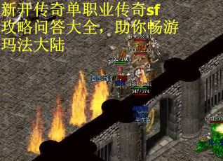 新开传奇单职业传奇sf攻略问答大全，助你畅游玛法大陆