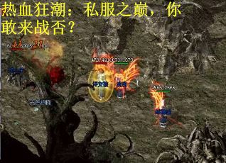 热血狂潮：私服之巅，你敢来战否？