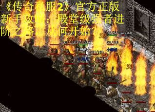 《传奇私服2》官方正版新手攻略：殿堂级强者进阶之路，从何开始？