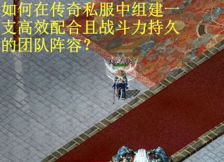 如何在传奇私服中组建一支高效配合且战斗力持久的团队阵容？