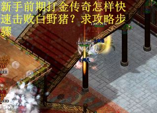 新手前期打金传奇怎样快速击败白野猪？求攻略步骤