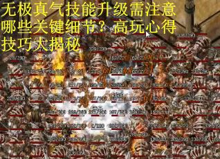 无极真气技能升级需注意哪些关键细节？高玩心得技巧大揭秘