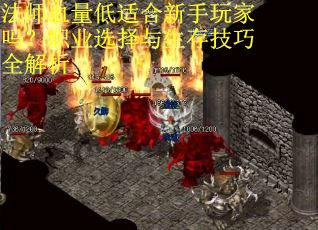 法师血量低适合新手玩家吗？职业选择与生存技巧全解析