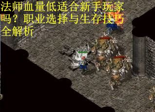 法师血量低适合新手玩家吗？职业选择与生存技巧全解析