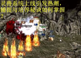 灵兽系统上线引发热潮，捕捉与培养秘诀如何掌握？