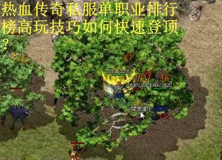 热血传奇私服单职业排行榜高玩技巧如何快速登顶？