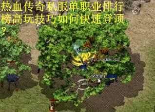 热血传奇私服单职业排行榜高玩技巧如何快速登顶？