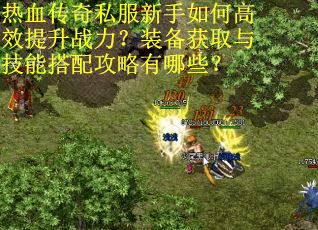 热血传奇私服新手如何高效提升战力？装备获取与技能搭配攻略有哪些？