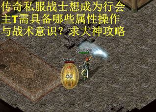 传奇私服战士想成为行会主T需具备哪些属性操作与战术意识？求大神攻略