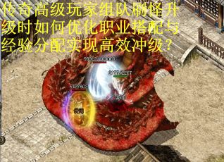 传奇高级玩家组队刷怪升级时如何优化职业搭配与经验分配实现高效冲级？