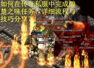 如何在传奇私服中完成酸楚之味任务？详细流程与技巧分享？