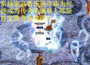 新玩家必看沃玛寺庙为何能成为传奇私服新人练级打宝的首选地图？