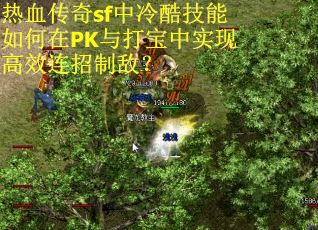 热血传奇sf中冷酷技能如何在PK与打宝中实现高效连招制敌？