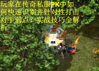 玩家在传奇私服PK中如何快速识别并针对性打击对手弱点？实战技巧全解析