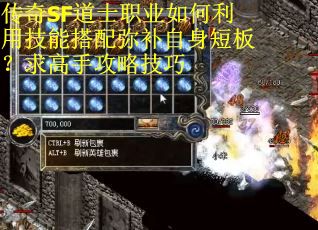 传奇SF道士职业如何利用技能搭配弥补自身短板？求高手攻略技巧