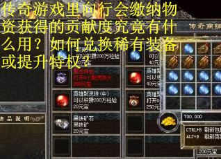 传奇游戏里向行会缴纳物资获得的贡献度究竟有什么用？如何兑换稀有装备或提升特权？