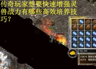 传奇玩家想要快速增强灵兽战力有哪些高效培养技巧？