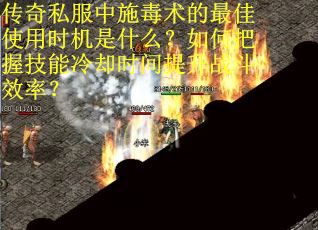 传奇私服中施毒术的最佳使用时机是什么？如何把握技能冷却时间提升战斗效率？