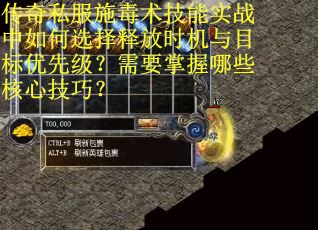 传奇私服施毒术技能实战中如何选择释放时机与目标优先级？需要掌握哪些核心技巧？