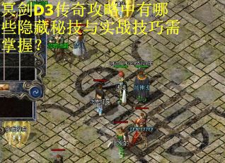 冥剑D3传奇攻略中有哪些隐藏秘技与实战技巧需掌握？