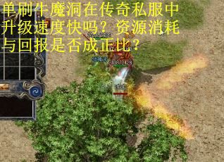 单刷牛魔洞在传奇私服中升级速度快吗？资源消耗与回报是否成正比？