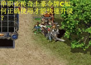 单职业传奇土豪令牌C如何正确使用才能快速升级？