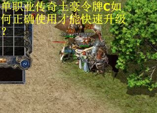 单职业传奇土豪令牌C如何正确使用才能快速升级？