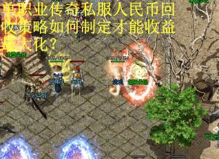 单职业传奇私服人民币回收策略如何制定才能收益最大化？