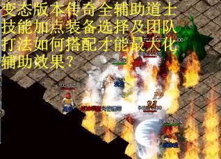 变态版本传奇全辅助道士技能加点装备选择及团队打法如何搭配才能最大化辅助效果？