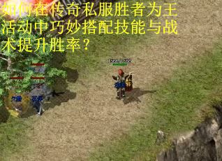如何在传奇私服胜者为王活动中巧妙搭配技能与战术提升胜率？