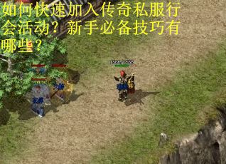 如何快速加入传奇私服行会活动？新手必备技巧有哪些？
