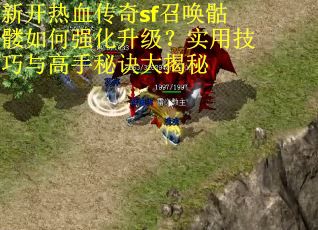 新开热血传奇sf召唤骷髅如何强化升级？实用技巧与高手秘诀大揭秘