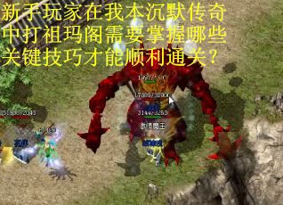 新手玩家在我本沉默传奇中打祖玛阁需要掌握哪些关键技巧才能顺利通关？