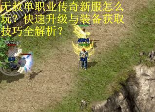 无赦单职业传奇新服怎么玩？快速升级与装备获取技巧全解析？