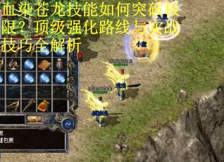 血染苍龙技能如何突破极限？顶级强化路线与实战技巧全解析