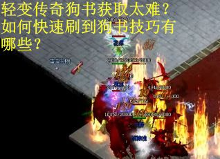 轻变传奇狗书获取太难？如何快速刷到狗书技巧有哪些？