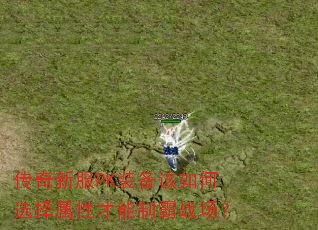 ·PKװѡԲưս