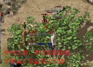 淨ʦλ£ư귨½