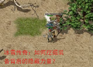 ѩ棺ھװ
