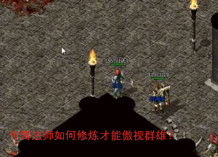 淨ʦܰȺۣ